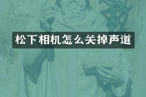 相机怎么关掉声道