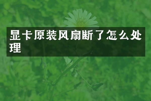 显卡原装风扇断了怎么处理