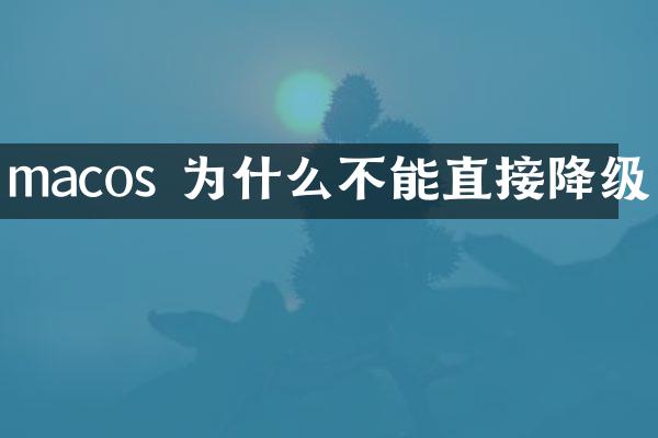 macos 为什么不能直接降级