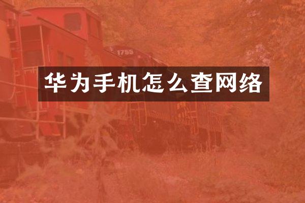 华为手机怎么查网络