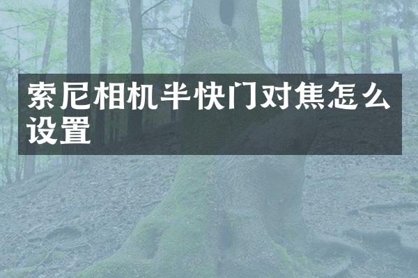 相机半快门对焦怎么设置