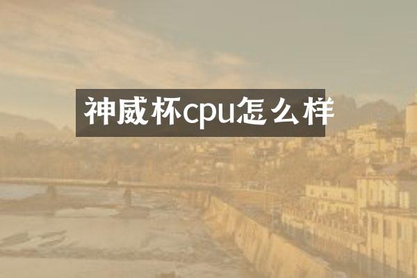 神威杯cpu怎么样