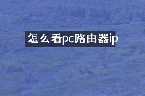 怎么看pc路由器ip