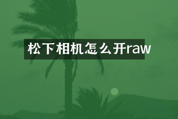 相机怎么开raw