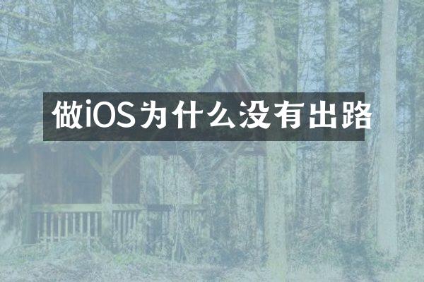 做iOS为什么没有出路