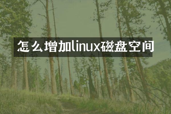 怎么增加linux磁盘空间
