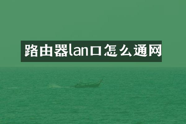路由器lan口怎么通网