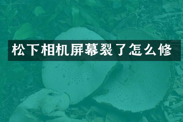 相机屏幕裂了怎么修