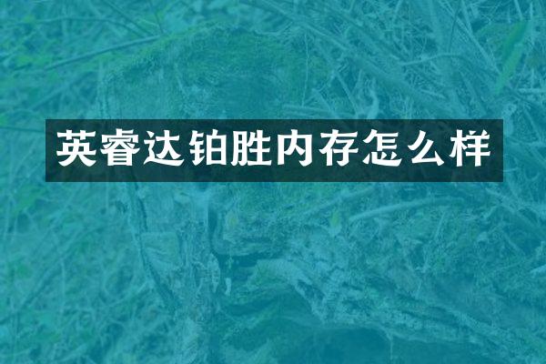 英睿达铂胜内存怎么样