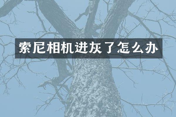 相机进灰了怎么办