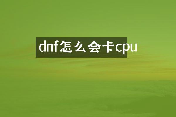 dnf怎么会卡cpu