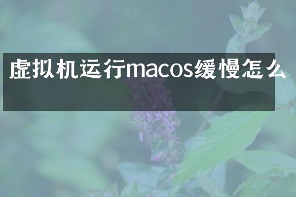 虚拟机运行macos缓慢怎么办