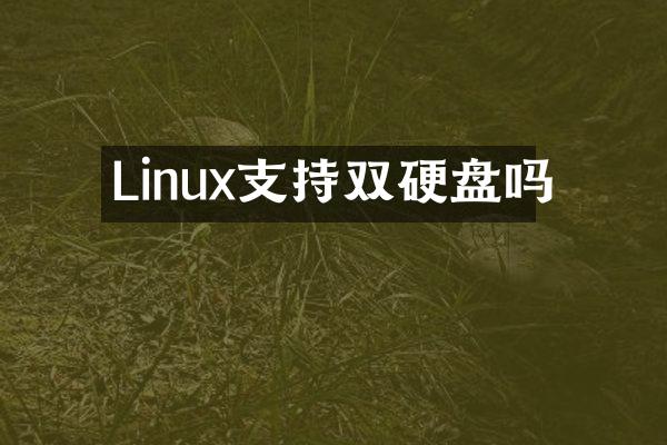 Linux支持双硬盘吗