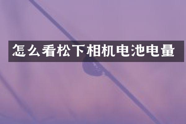 怎么看相机电池电量