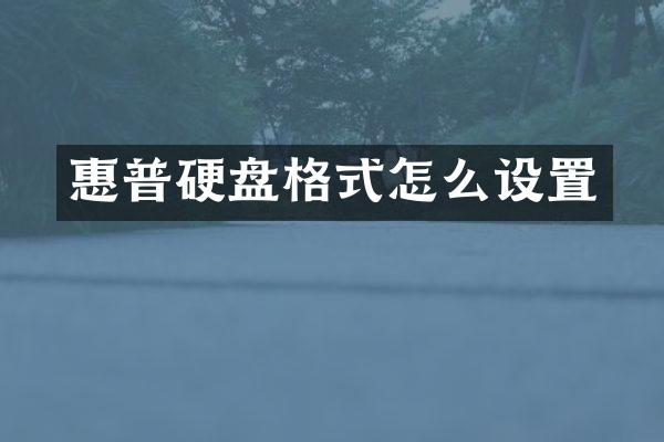 惠普硬盘格式怎么设置