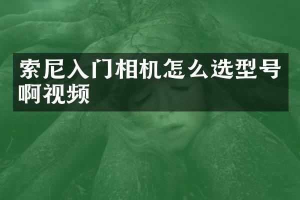 入门相机怎么选型号啊视频