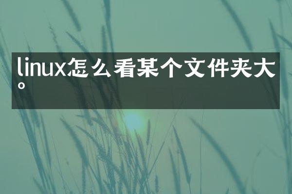 linux怎么看某个文件夹大小