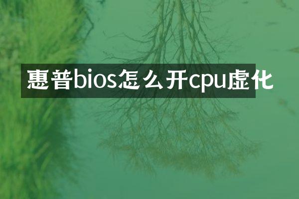 惠普bios怎么开cpu虚化