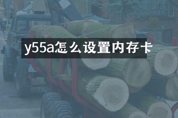 y55a怎么设置内存卡