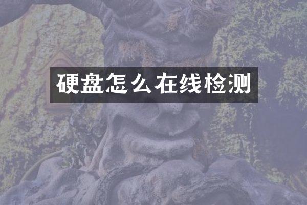 硬盘怎么在线检测