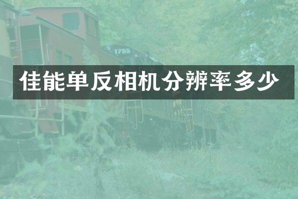 佳能单反相机分辨率多少