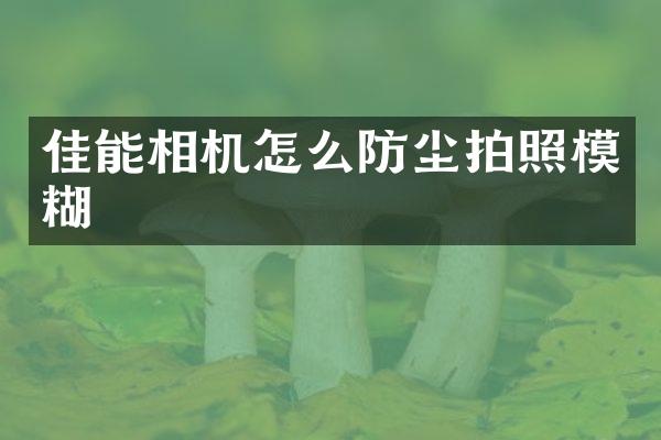 佳能相机怎么防尘拍照模糊