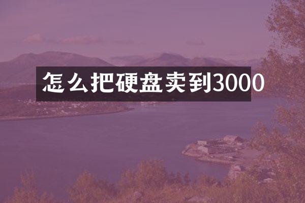 怎么把硬盘卖到3000