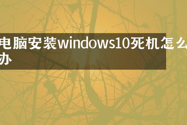 电脑安装windows10死机怎么办