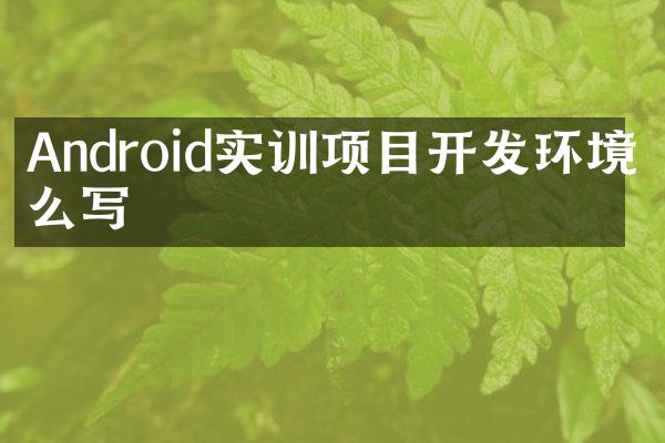 Android实训项目开发环境怎么写