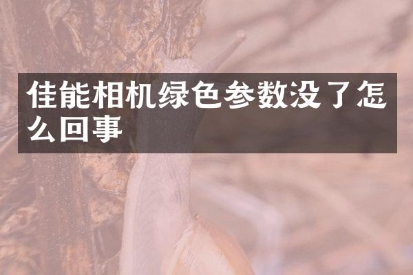 佳能相机绿色参数没了怎么回事