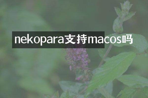 nekopara支持macos吗
