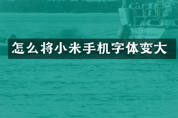 怎么将小米手机字体变大