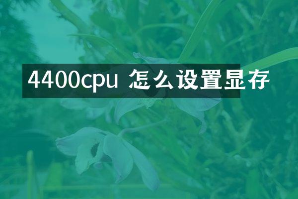 4400cpu 怎么设置显存