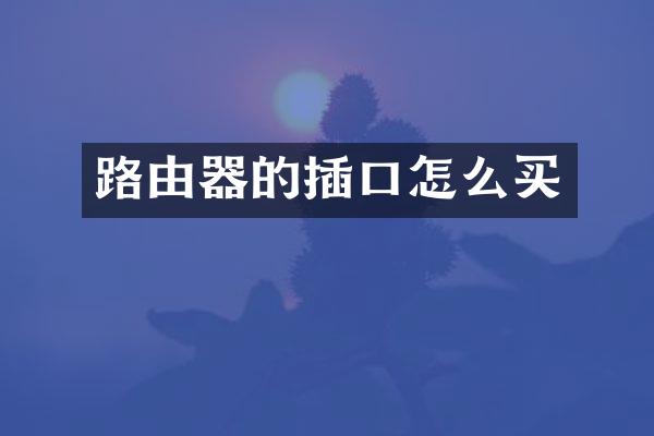 路由器的插口怎么买