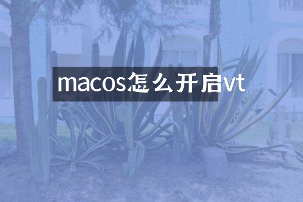 macos怎么开启vt