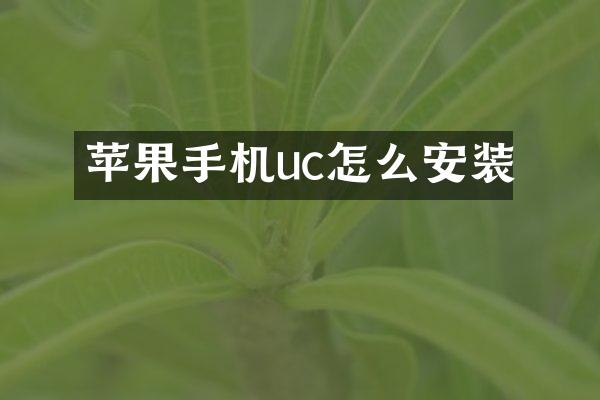 苹果手机uc怎么安装