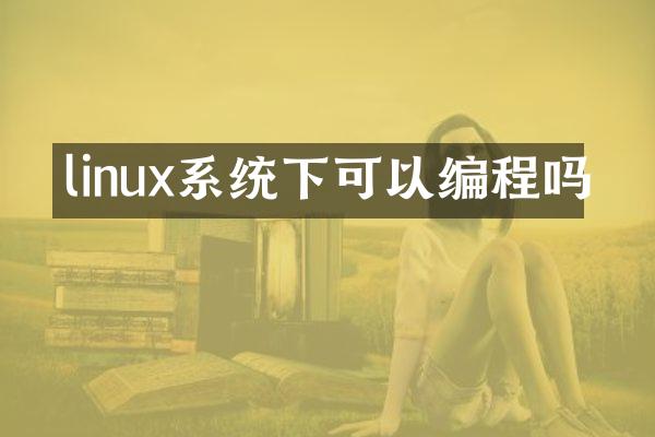linux系统下可以编程吗