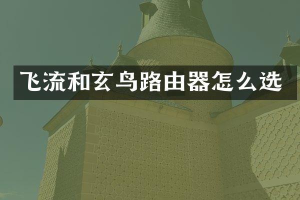 飞流和玄鸟路由器怎么选