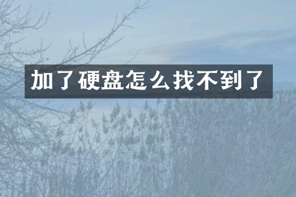 加了硬盘怎么找不到了