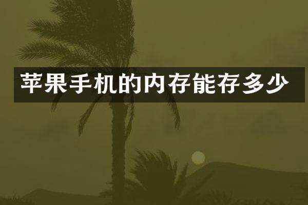 苹果手机的内存能存多少