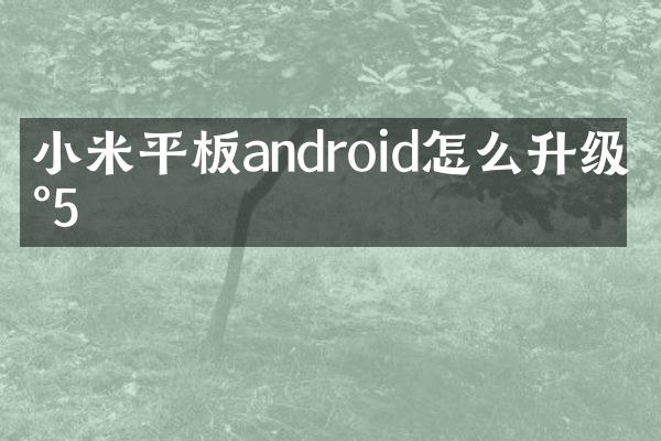 小米平板android怎么升级到5