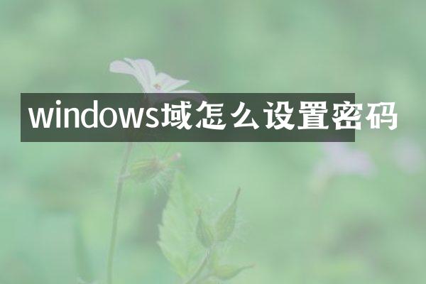 windows域怎么设置密码