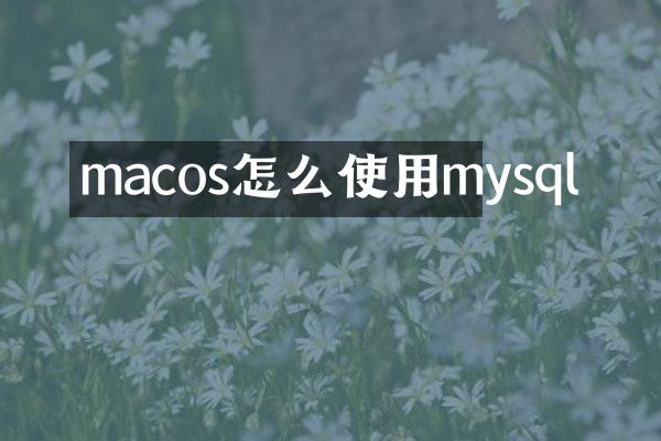 macos怎么使用mysql