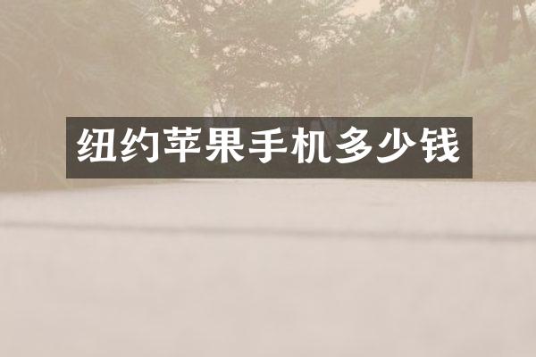 纽约苹果手机多少钱