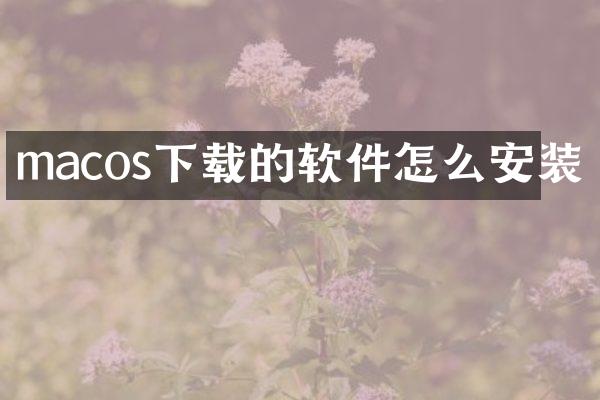 macos下载的软件怎么安装