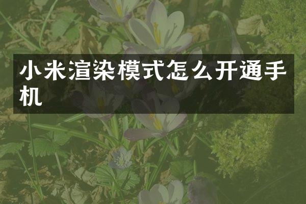 小米渲染模式怎么开通手机