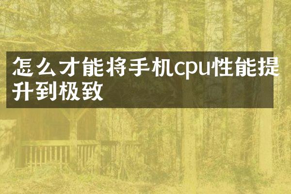 怎么才能将手机cpu性能提升到极致