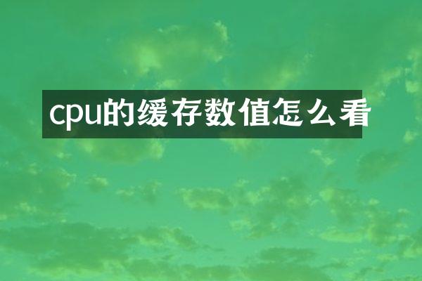 cpu的缓存数值怎么看