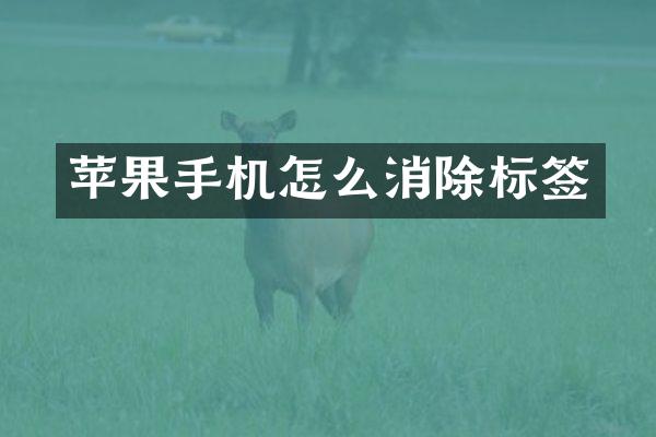苹果手机怎么消除标签