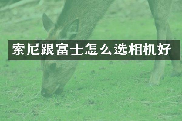 跟富士怎么选相机好